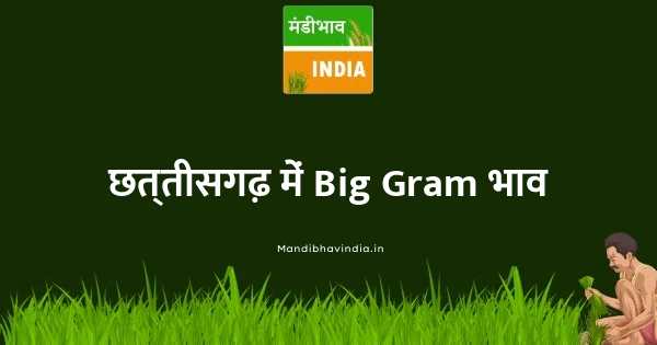Big Gram भाव